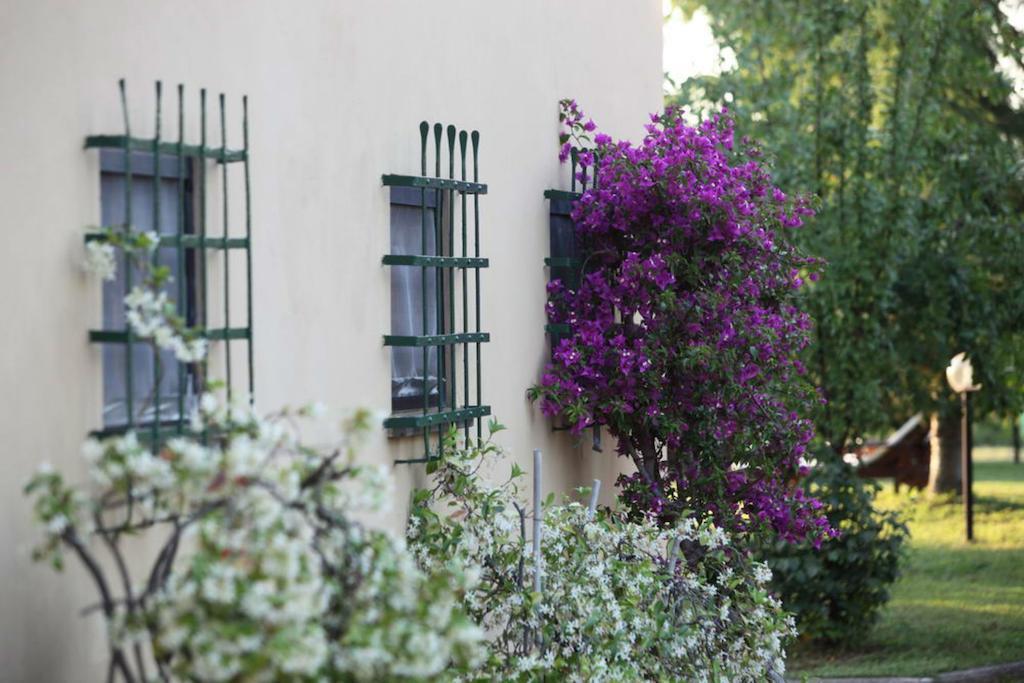 Agriturismo Le Pianore 蒙特斯佩尔托利 外观 照片